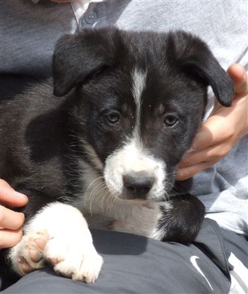 Click for large image