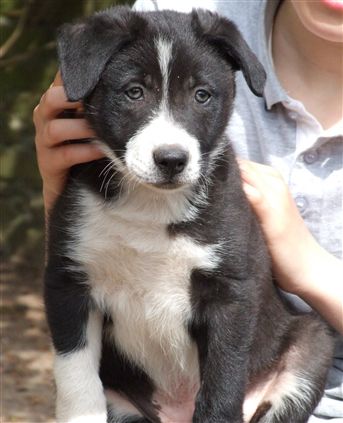 Click for large image