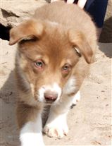 Click for large image