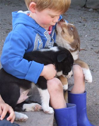 Click for large image