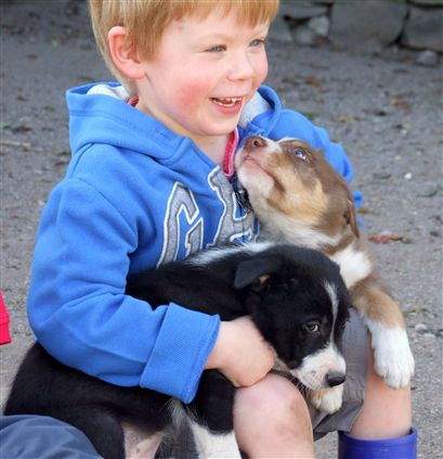 Click for large image