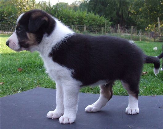 Click for large image