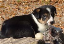 Click for large image