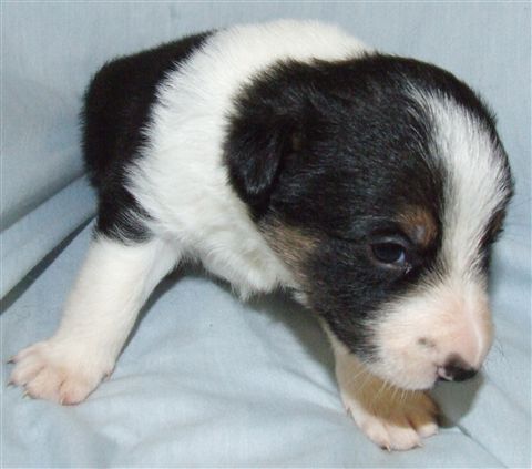 Click for large image