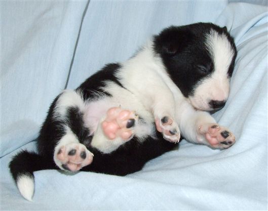 Click for large image