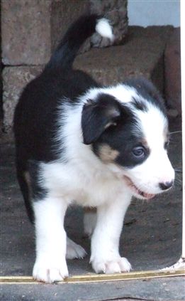 Click for large image