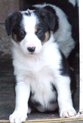 Click for large image