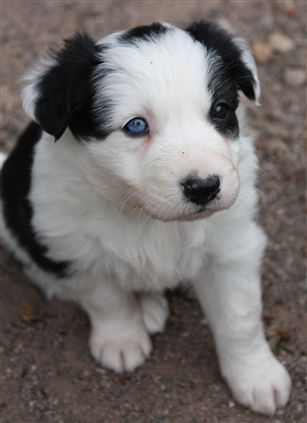 Click for large image