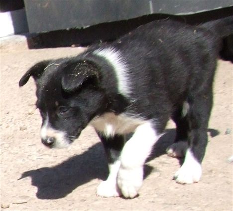 Click for large image