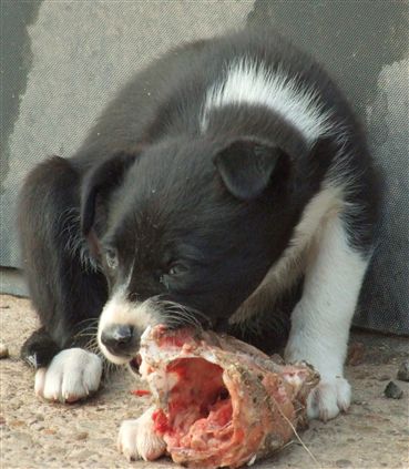 Click for large image