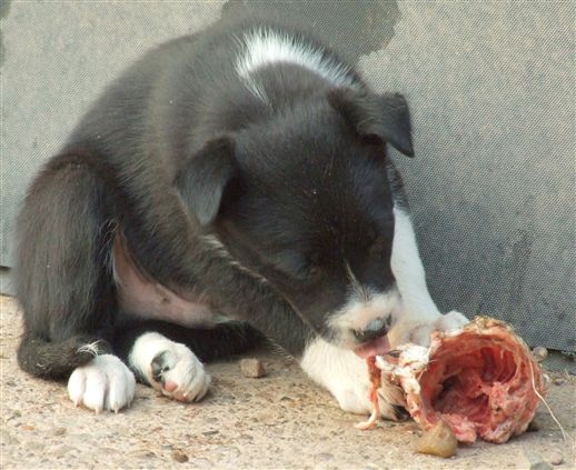 Click for large image