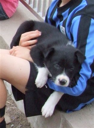 Click for large image