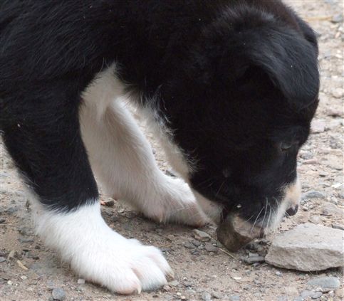 Click for large image