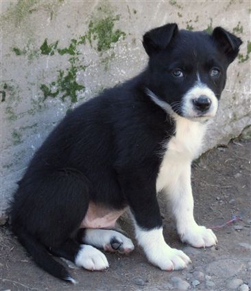 Click for large image