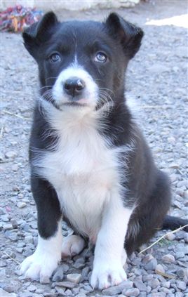 Click for large image