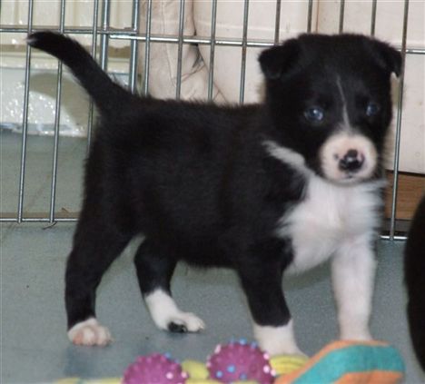 Click for large image