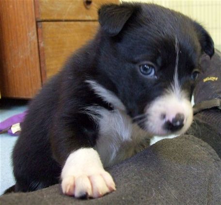 Click for large image