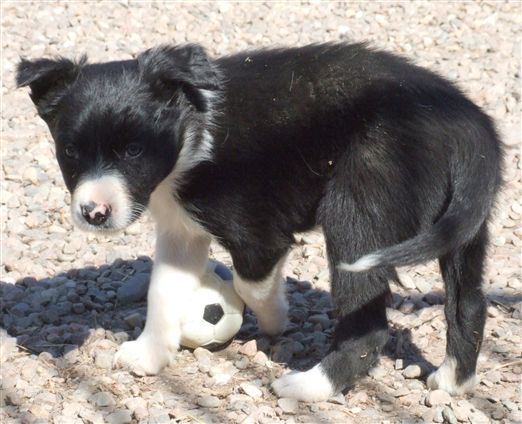 Click for large image