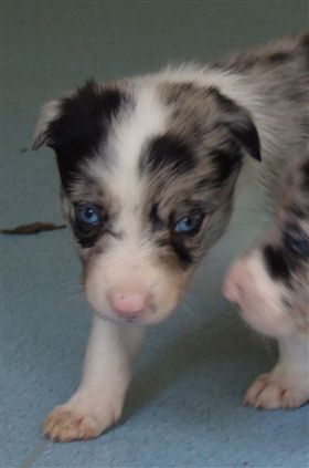 Click for large image