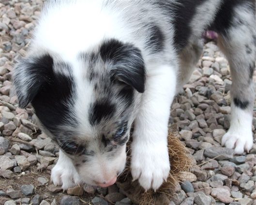 Click for large image