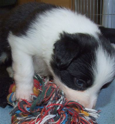 Click for large image