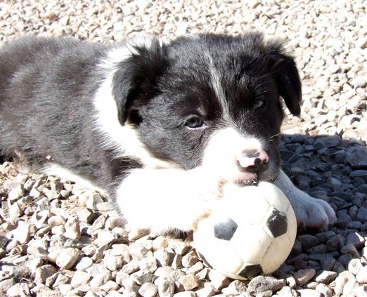 Click for large image