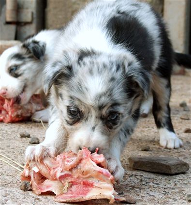 Click for large image