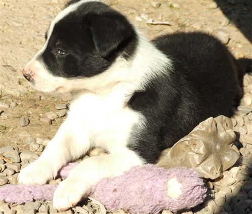 Click for large image