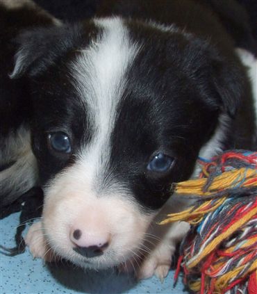 Click for large image