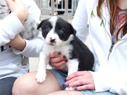 Click for large image