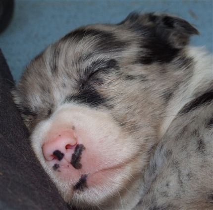 Click for large image