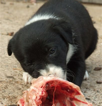 Click for large image