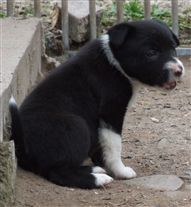 Click for large image