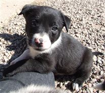 Click for large image