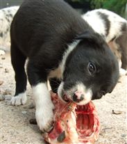 Click for large image