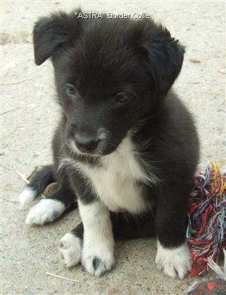 Click for large image