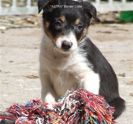 Click for large image