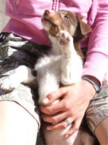 Click for large image