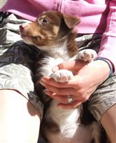 Click for large image