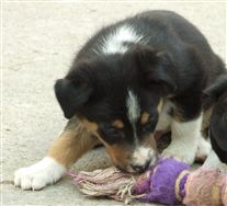 Click for large image