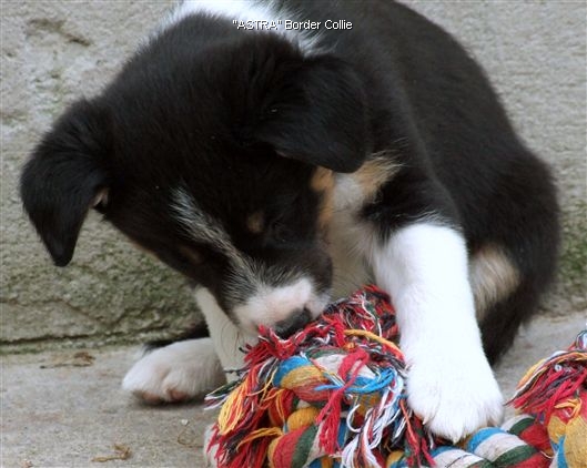 Click for large image