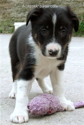 Click for large image