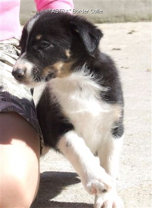 Click for large image