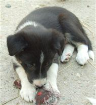 Click for large image