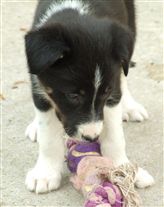 Click for large image