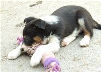 Click for large image