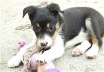 Click for large image