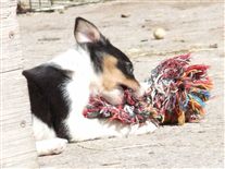 Click for large image