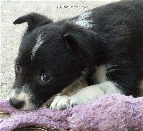 Click for large image