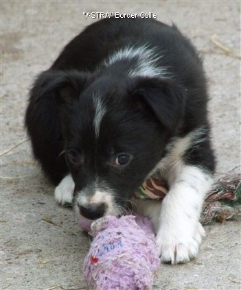 Click for large image